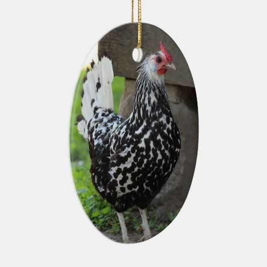 Ornement de poulet (Droite)