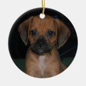 ornement de puggle (Devant)