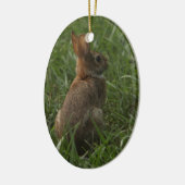 Ornement de ressort/Pâques : lapin et poussin (Gauche)