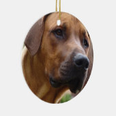 Ornement de Rhodesian Ridgeback (Droite)