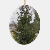 Ornement de sapin de Noël (Droite)