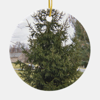 Ornement de sapin de Noël