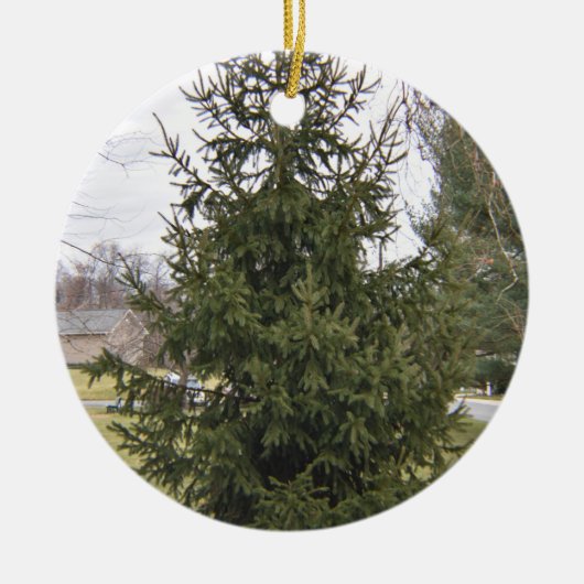Ornement de sapin de Noël (Devant)