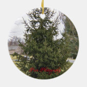 Ornement de sapin de Noël (Dos)