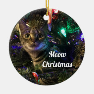 Ornement de sapin de Noël Chat tigré
