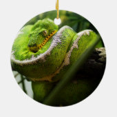 Ornement de serpent d'arbre (Dos)