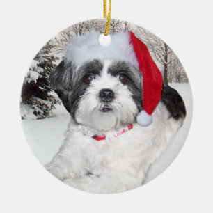 Ornement de Shih Tzu de Noël