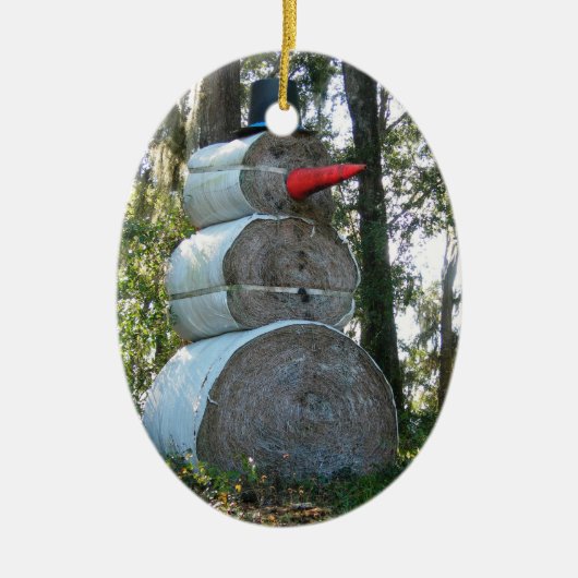 Ornement de Snowman en Floride (Devant)