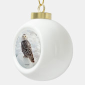 Ornement de Snowy Owl (Droite)