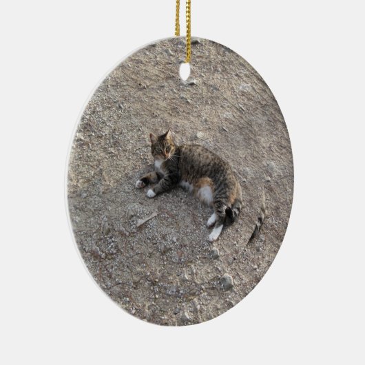 Ornement de souvenir : Chat tigré avec les pieds (Droite)
