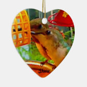 Ornement de souvenir de colibri (Droite)