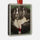 Ornement de springers spaniels (Droite)