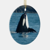 Ornement de Spyhop (Droite)