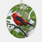 Ornement de Tanager d'écarlate (Gauche)