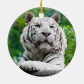 Ornement de tigre blanc (Dos)
