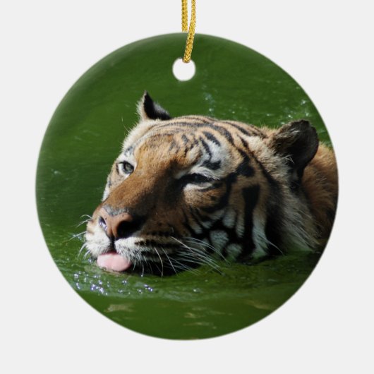 Ornement de tigre de natation (Devant)