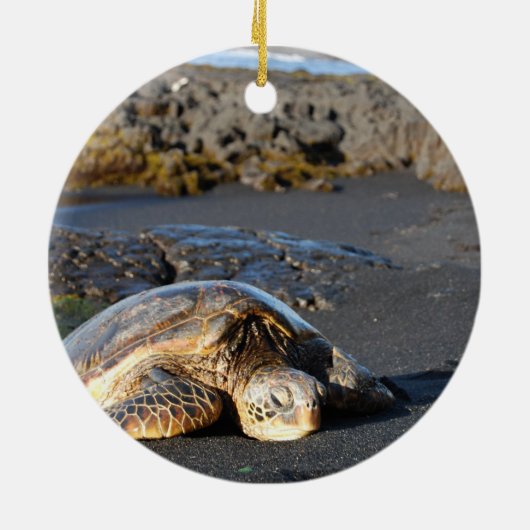 Ornement de tortue de mer (Dos)