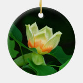 Ornement de tulipe d'arbre de peuplier (Dos)