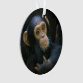 Ornement de vacances de chimpanzé de Kibale (devant)