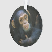 Ornement de vacances de chimpanzé de Kibale (devant)