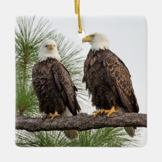 Ornement de vacances de logo de H&O (Devant)