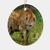 Ornement de vagabondage d'hyène (Gauche)