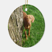 Ornement de Vizsla (Gauche)