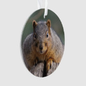 Ornement d'écureuil (devant)