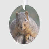 Ornement d'écureuil (devant)