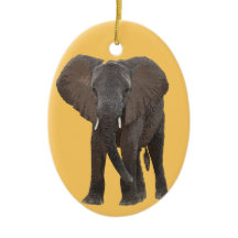 Ornement d'éléphant africain
