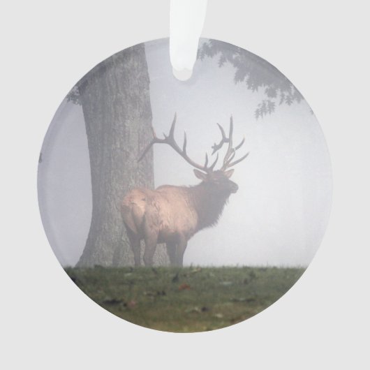 Ornement d'Elk (devant)