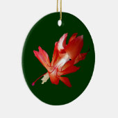 Ornement d'Epiphyte de cactus de Noël (Droite)