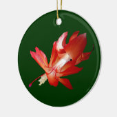 Ornement d'Epiphyte de cactus de Noël (Gauche)