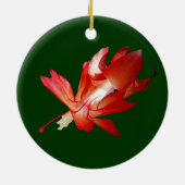 Ornement d'Epiphyte de cactus de Noël (Dos)