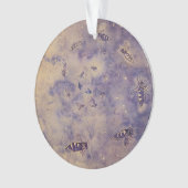 Ornement des abeilles spatiales (devant)