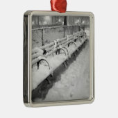 Ornement des "banquettes de neige" (Droite)