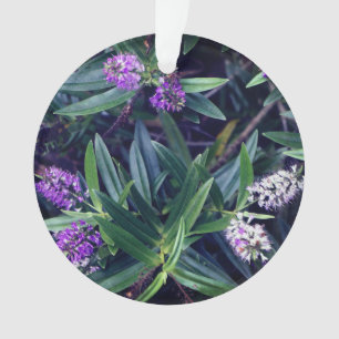 Ornement des doigts Hebe Mauve