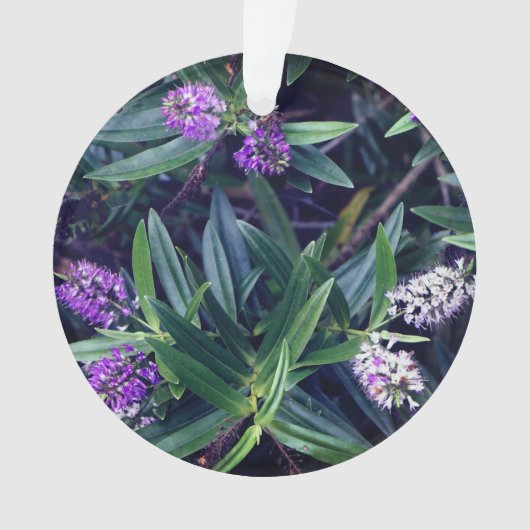 Ornement des doigts Hebe Mauve (devant)
