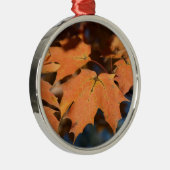 Ornement des feuilles d'automne (Droite)