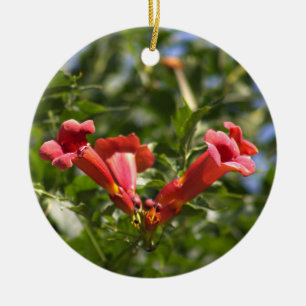 Ornement des fleurs de vigne de trompette