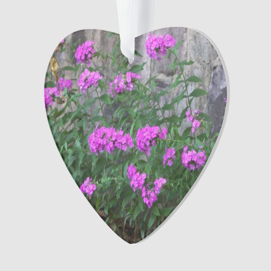 Ornement des fleurs Lilac (devant)