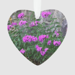 Ornement des fleurs Lilac