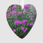 Ornement des fleurs Lilac (devant)