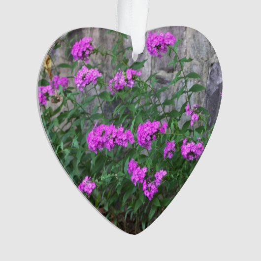 Ornement des fleurs Lilac (devant)