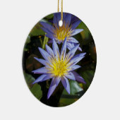 Ornement des nénuphars (Droite)