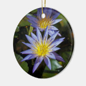 Ornement des nénuphars (Gauche)