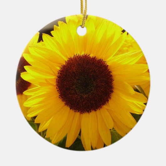 Ornement des tournesols (Devant)