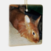 Ornement désapprobateur de lapin (Droite)