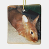 Ornement désapprobateur de lapin (Gauche)