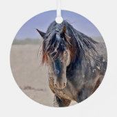 Ornement d'étalon puissant (Verso)